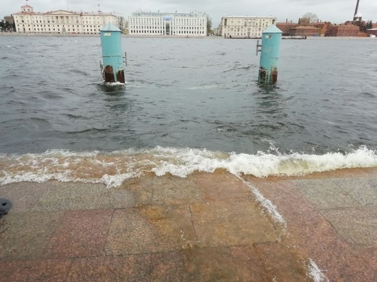 Уровень воды в Неве поднялся на один метр