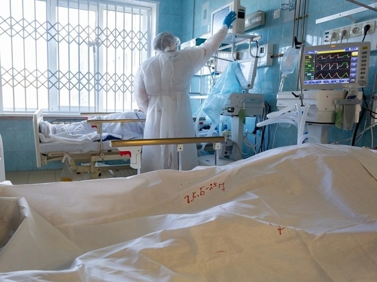 282 случая коронавируса выявили в Новосибирской области за сутки