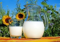 Ученые рассказали о пользе молочных продуктов для пенсионеров