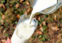 Названа польза молочных продуктов для пожилых