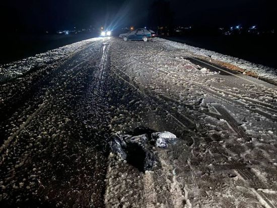 В Башкирии во время снегопада автомобилист сбил шедшего по дороге пешехода