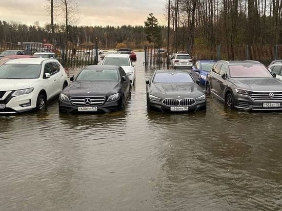 Около 100 автомобилей затопило на парковке в Сестрорецке