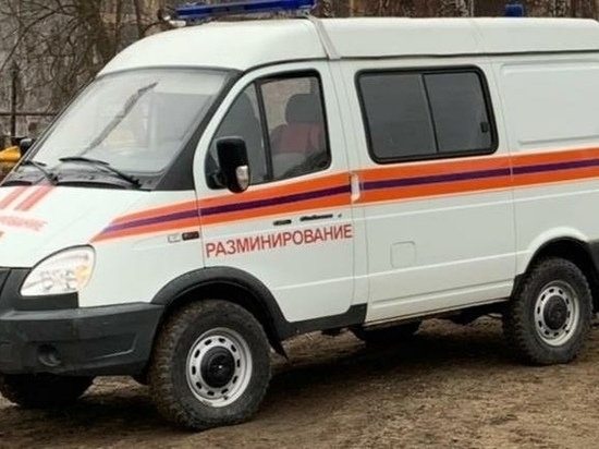 В Арсеньевском районе спасатели обезвредили артиллерийский снаряд
