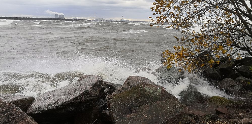 Житель Соснового Бора запечатлел шторм на Финском заливе