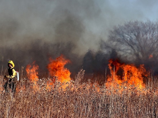 Сотрудники МЧС поймали подростков-поджигателей травы в Краснокаменске
