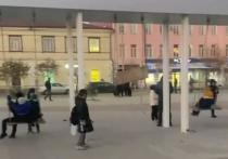 Новые качели на площади Революции в Улан-Удэ, которые были установлены после ее реконструкции, оказались сломаны неизвестными вандалами
