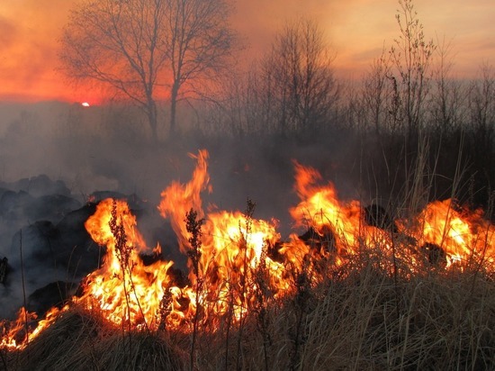 В Пензенской области за сутки потушили пять пожаров