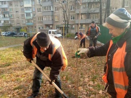 В Рязани высадили молодые клены у детского сада №99