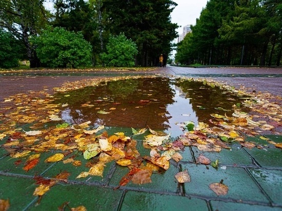 Небольшие дожди со штормовым ветром и до +8 градусов тепла ждут жителей Красноярска 24 октября