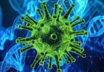 В Забайкалье за сутки выявлено 319 новых случаев заражения коронавирусной инфекцией