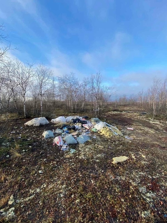 Устроивших свалку в тундре близ Нового Уренгоя людей оштрафовали и заставили убрать мусор