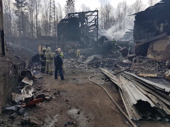 Семьи погибших на заводе под Рязанью готовят иск к ООО «Разряд»