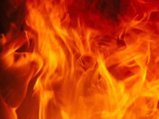 Ночной пожар в Лужском районе погубил человека