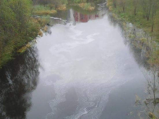  Жительница Петрозаводска обеспокоена состоянием Лососинки
