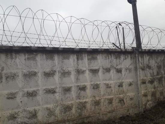 На странице омбудсмена заявили о голодовке 30 заключенных в Товарково