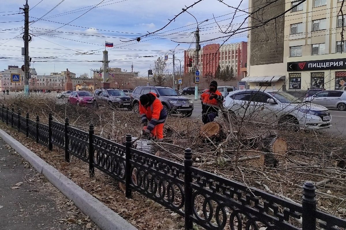 Около октября. Спил тополей на площади Ленина в Архангельске. Тополя срубили по Ленина Кызыл.