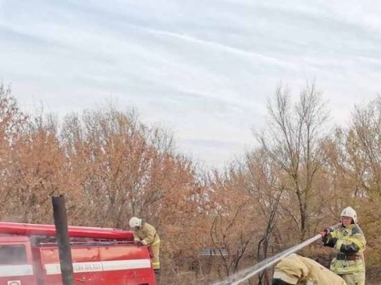 12 пожаров зарегистрировано в Калмыкии за одну неделю
