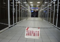 Кабмин выделит из бюджета 38,5 миллиарда рублей на выплаты для малого бизнеса и социальных НКО, которые пострадают из-за ограничений на фоне пандемии