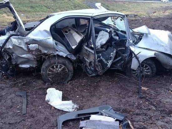 24-летний водитель без прав разбился в Удмуртии