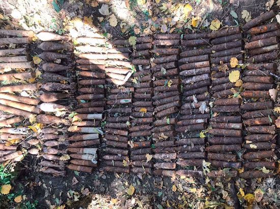 На Кубани грибник обнаружил в лесу 174 боеприпаса времён ВОВ