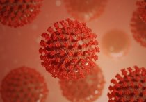 Новая разновидность «Дельта»-штамма коронавируса АY