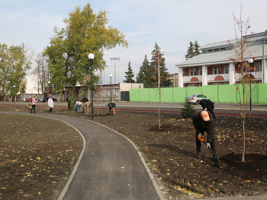 Более тысячи деревьев посадят осенью в Воронеже