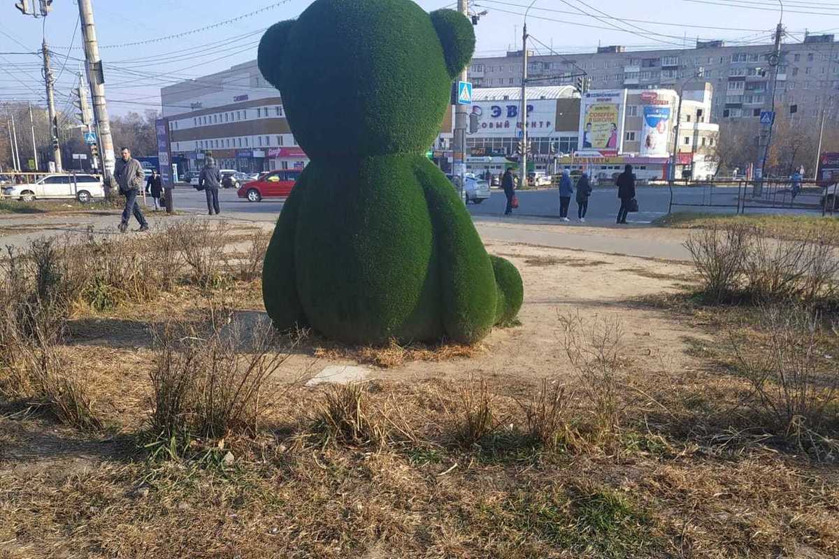 Медведь в хабаровске