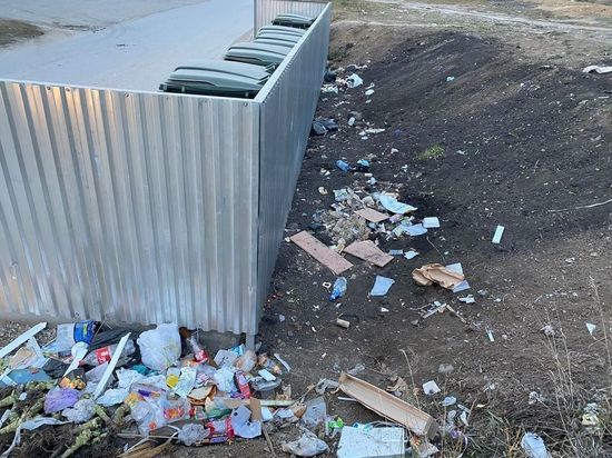 Чиновник в Кузбассе пристыдил жителей города за мусорные кучи