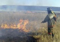 В Хакасии часто горит степь