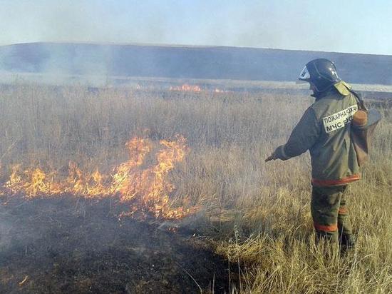 В Хакасии часто горит степь