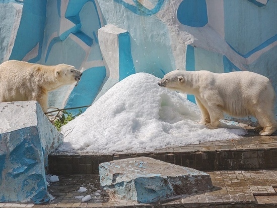 В Новосибирске закроют аквапарк и зоопарк в нерабочие дни с 30 октября