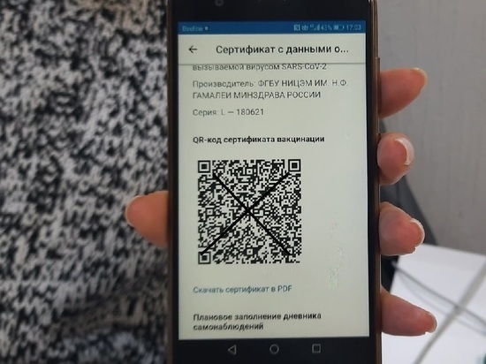 В Новосибирске не будут требовать QR-код в торговых центрах в дни «нерабочей недели»