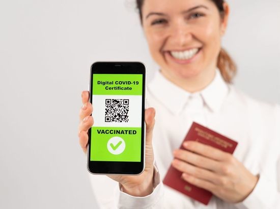 Как будут проверяться QR-коды во время локдауна с 30 октября по 7 ноября