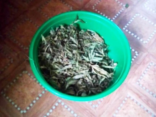 49-летней смолянке грозит до 10 лет тюрьмы за хранение тазика с коноплей