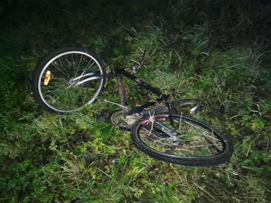 На трассе М-9 в Тверской области водитель Škoda сбил сбил велосипедиста в темноте