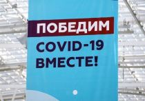 Правительство Российской Федерации выделило более 86,5 миллиона рублей Министерству по делам чрезвычайных ситуаций РФ на гуманитарную помощь Кыргызстану в борьбе с распространением коронавируса