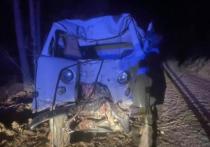 Водитель и пассажир УАЗа «Буханки» попали в больницу после того, как машина протаранила дерево в Хилокском районе Забайкалья