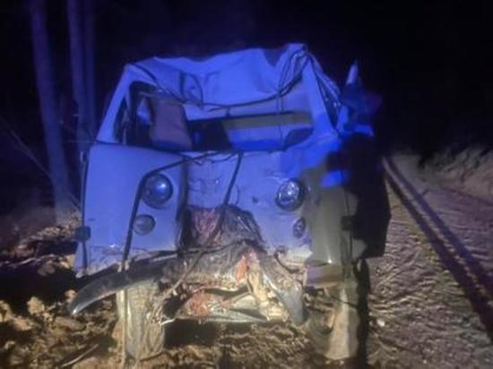 Пьяный водитель «Буханки» протаранил дерево в Забайкалье, двое пострадали