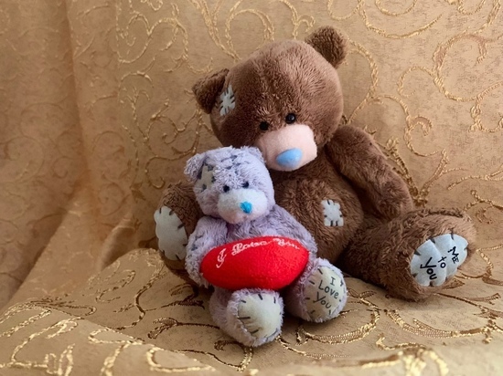 Жители Новосибирска отмечают Международный день плюшевого мишки Тедди