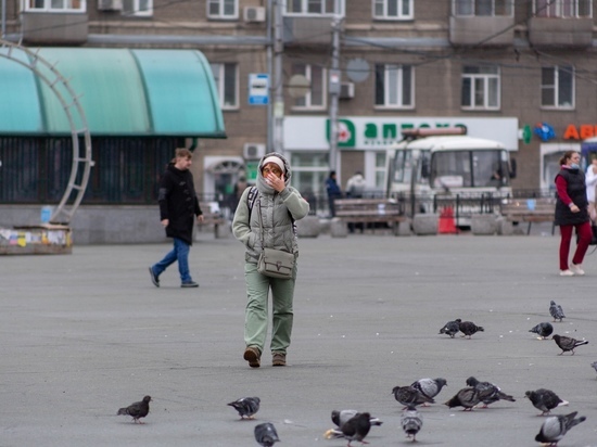 Воздух стал чище в Новосибирске из-за сильного ветра 27 октября