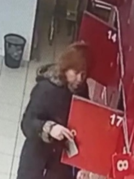 Костромская полиция ищет рыжеволосую даму, охочую до чужих кошельков