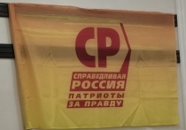 Социалистическая политическая партия «Справедливая Россия - Патриоты - За правду» в этом году отмечает свое 15-летие
