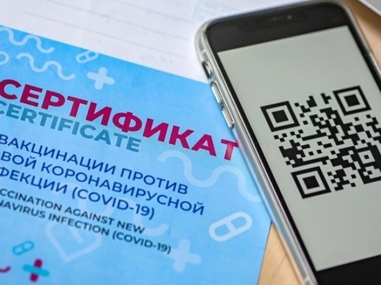 В Хабаровске на публичные слушания будут пускать с QR-кодом или справкой о вакцинации