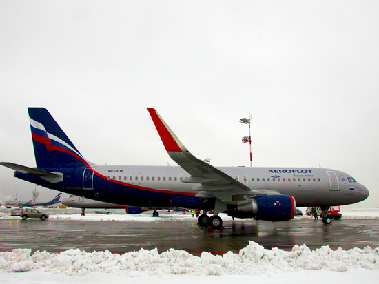 Акция действует с 1 ноября по 15 мая на внутрироссийских рейсах
