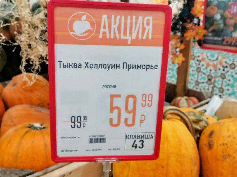 Самые мистические тыквы на Хэллоуин 2021 выбирают в Хабаровске
