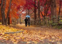 Прогулки в московских парках в период нерабочих дней с 28 октября по 7 ноября будут разрешены