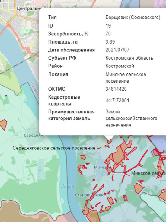 Подготовлена карта борщевика Костромского района