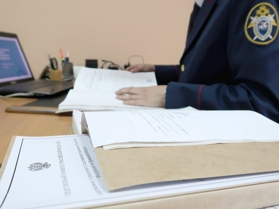 Пьяный водитель выбил стекло в машине ДПС в Карелии