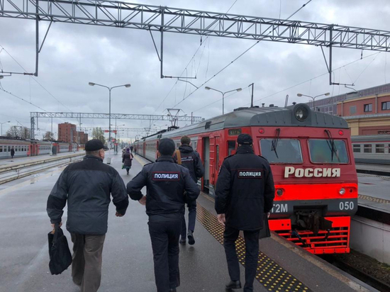 В Ленобласти полиция искала пассажиров без масок в электричках