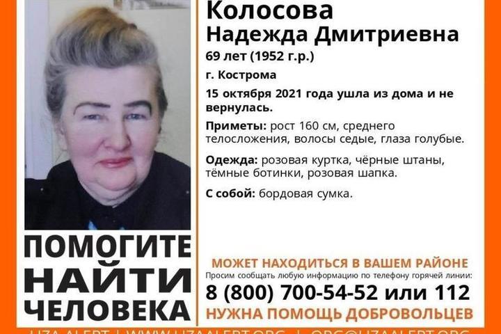 Костромской поисковый отряд «ЛизаАлерт» разыскивает пропавшую пенсионерку 69 лет